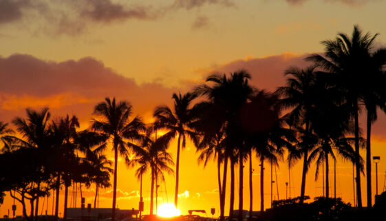 Waikiki-Sunsets