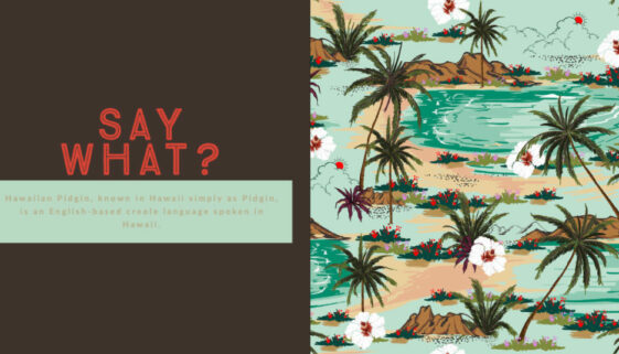 Aloha Hawaiian Vacation All Inclusive. Say what?