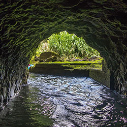 Exciting activity tubing through canals at an old sugar cane plantation!