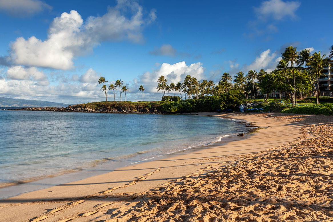 Maui Wedding Package