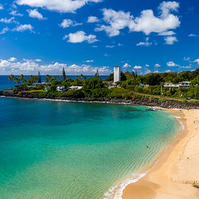 There is so much more to Oahu than just Waikiki! See the beauty of Oahu’s lush eastern side and its famed North Shore on this fun and informative full day tour.