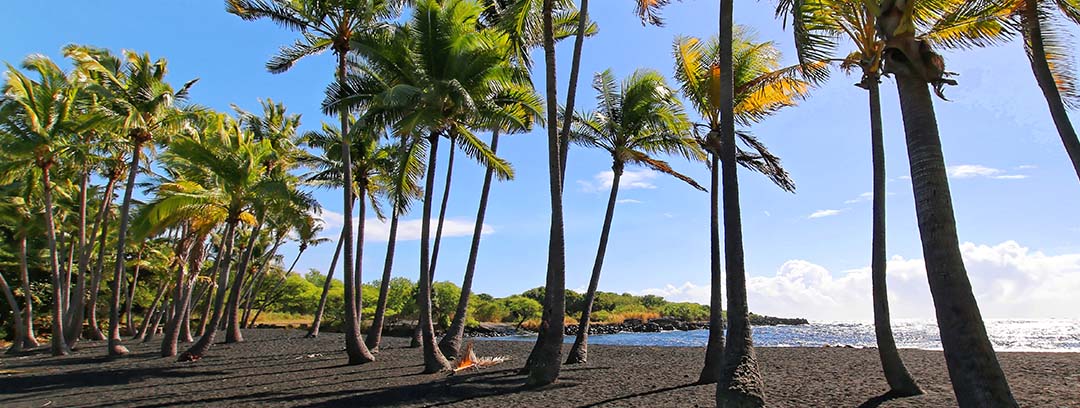 Day 3 Windward Snorkel All Inclusive Hawaii Vacation