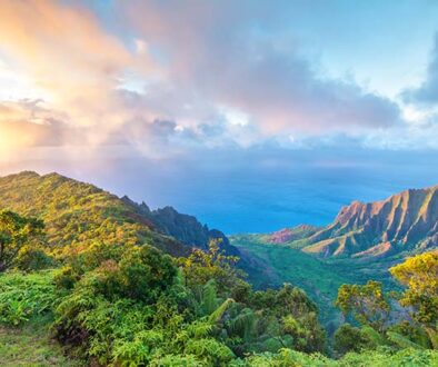 Hawaii vs Mexico. Pink canyon.