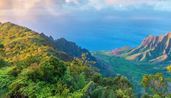 Kauai-Package-header