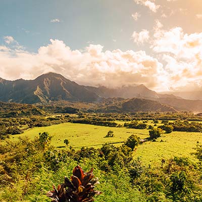 See stunning filming locations for many movies and shows, including Jurassic Park, Blue Hawaii, six Day & Seven Nights, Pirates of the Caribbean, Tropic Thunder, Fantasy Island and more!