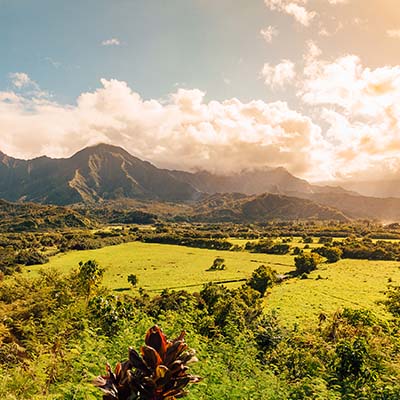 See stunning filming locations for many movies and shows, including Jurassic Park, Blue Hawaii, six Day & Seven Nights, Pirates of the Caribbean, Tropic Thunder, Fantasy Island and more!