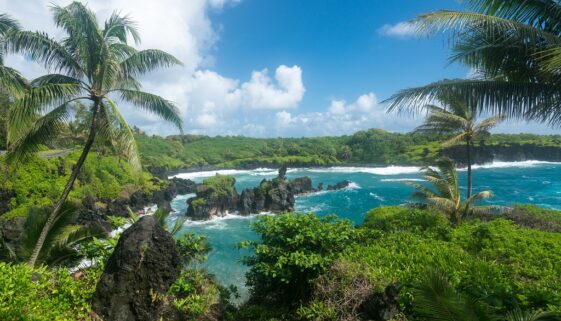 Waianapanapa State Park