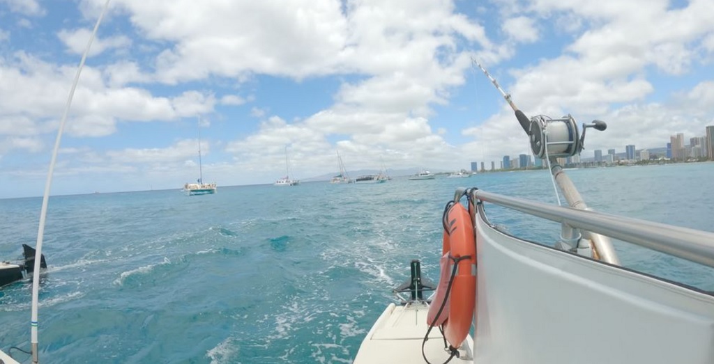 Catamaran Sail on Oahu