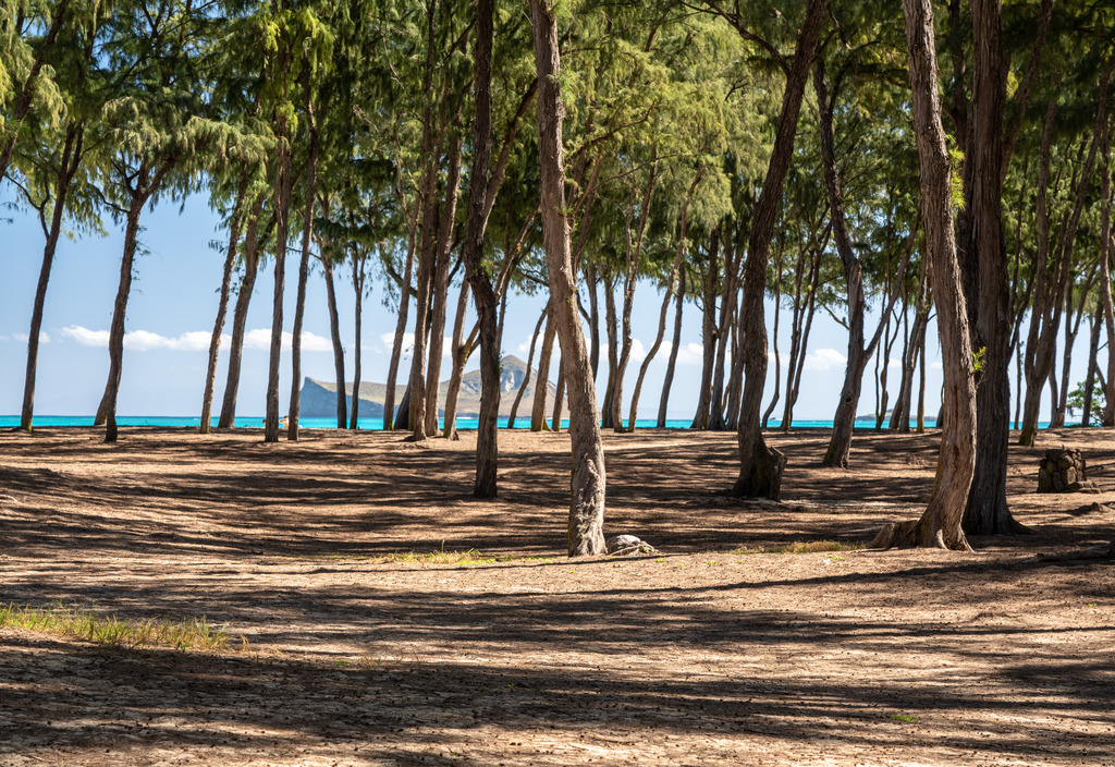 Sherwood Forest Beach Is One of the Best Places to Visit in Oahu