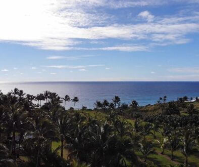 These unique foods to try in Kauai are sure to tickle your tastebuds