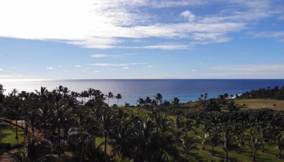 These unique foods to try in Kauai are sure to tickle your tastebuds