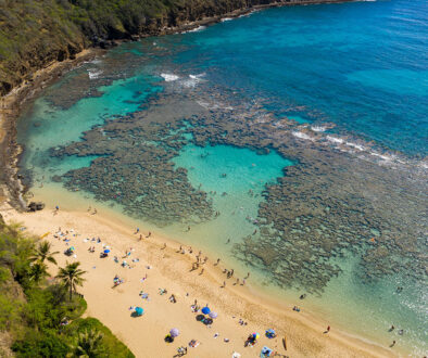 Aerial View Of a Beach In Hanauma Bay Best Snorkeling In Hawaii