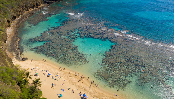 Aerial View Of a Beach In Hanauma Bay Best Snorkeling In Hawaii