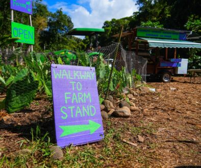 best Maui farm tours