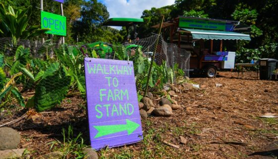 best Maui farm tours