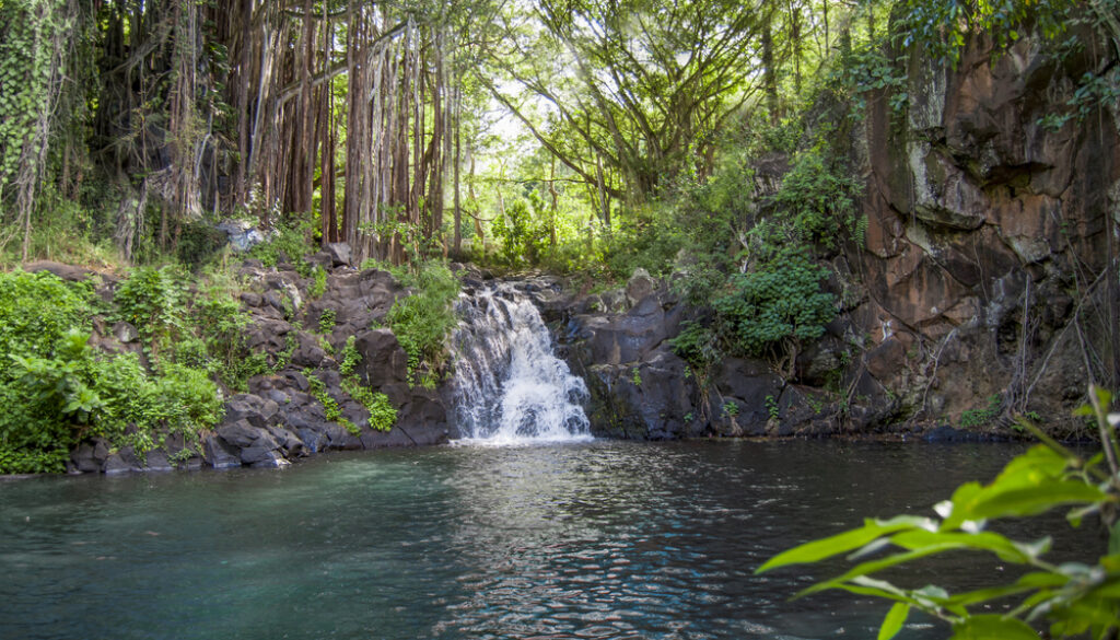 The best waterfalls on Oahu and where to find them