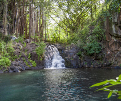 The best waterfalls on Oahu and where to find them