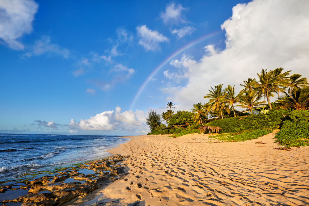 Butterscotch Sand Hawaiia