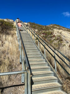 3 Oahu Hikes You Shouldn't Miss (They're Beginner-Friendly Too)