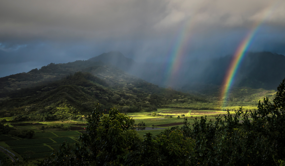 What's the Weather in Hawaii Really Like?