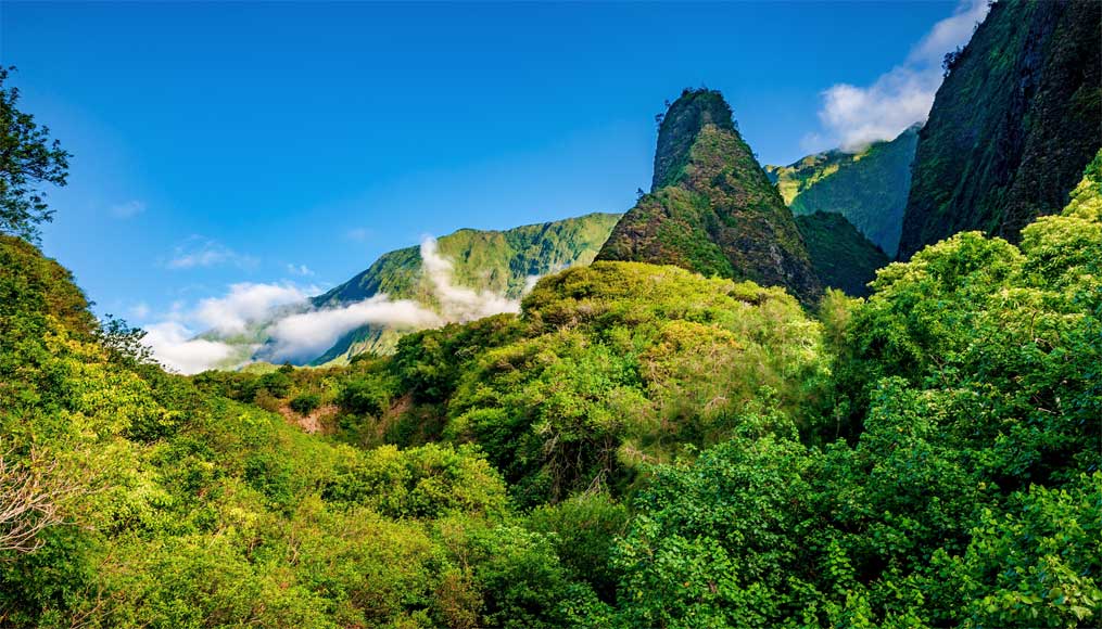 Ian Needle, Maui